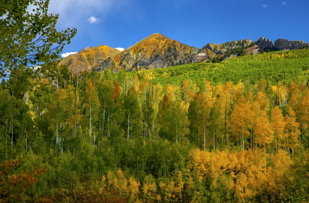 Southwest - 2022_09_27_344_kebler_pass_ruby_peak_aspens