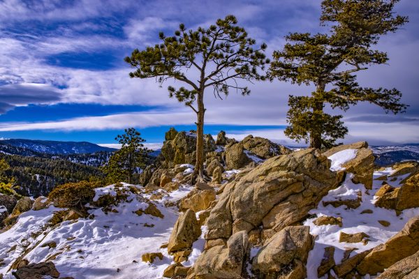 Southwest - 2023_01_26_011_flagstaff_snowB